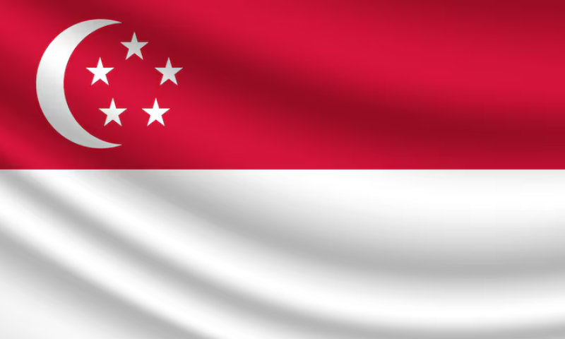 singapore-national-flag-photo_612786-235.jpg